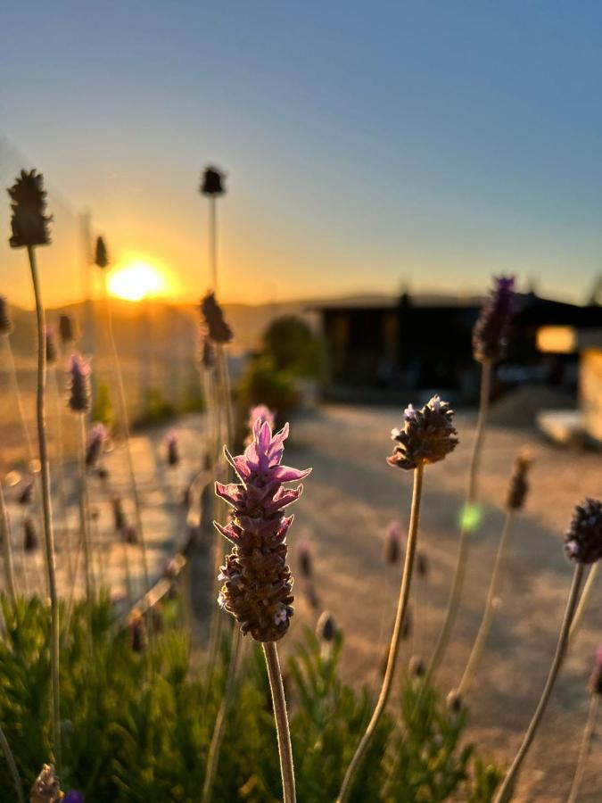 Finca Cazosa Villa Valle de Guadalupe Luaran gambar